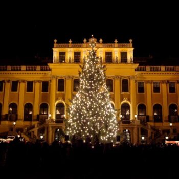 Vienna "La città Imperiale" dal 14 al 16 Novembre 2025